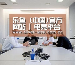 研发能力标题二