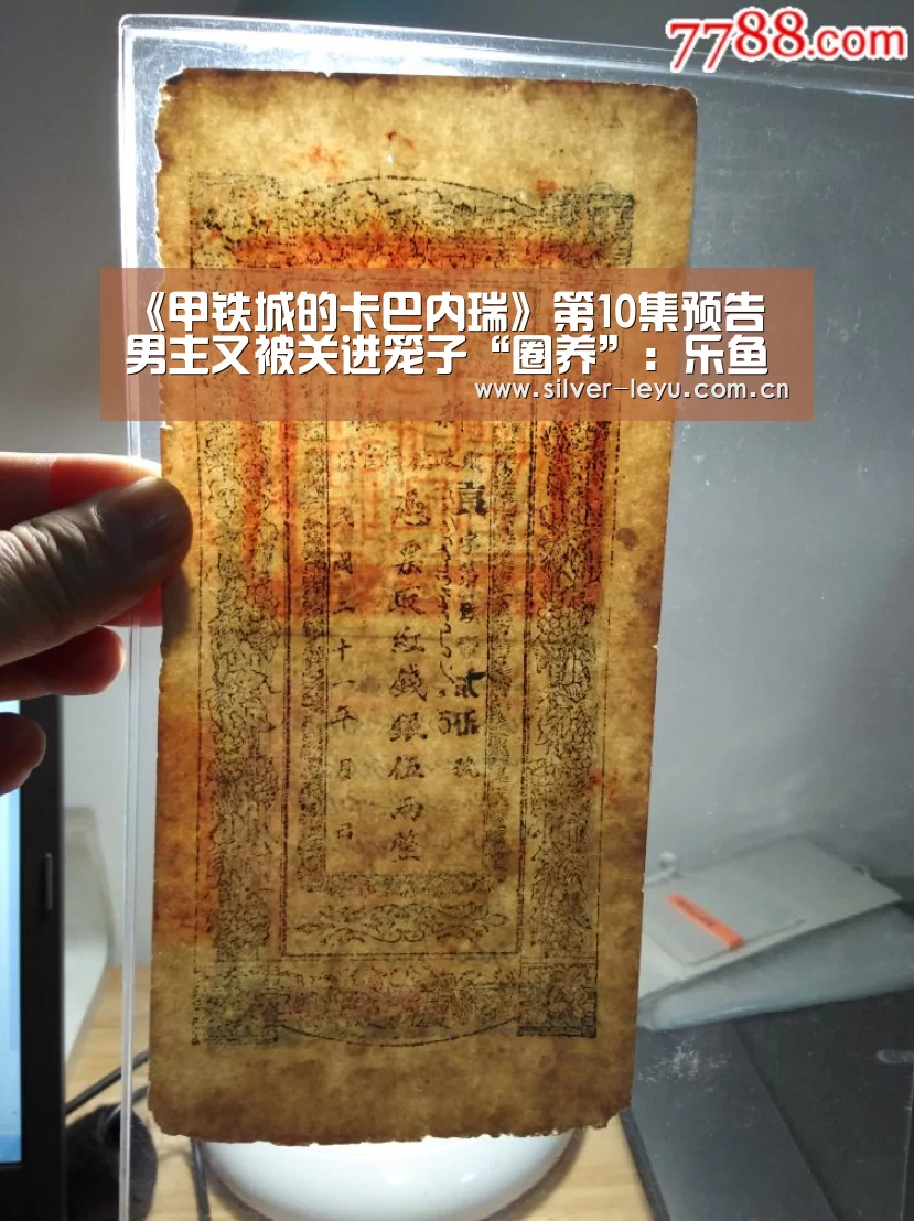 乐鱼