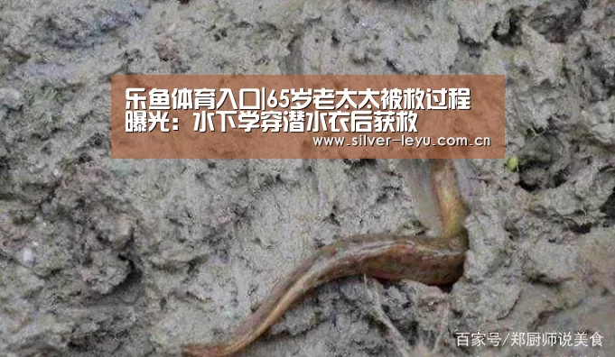 乐鱼体育入口