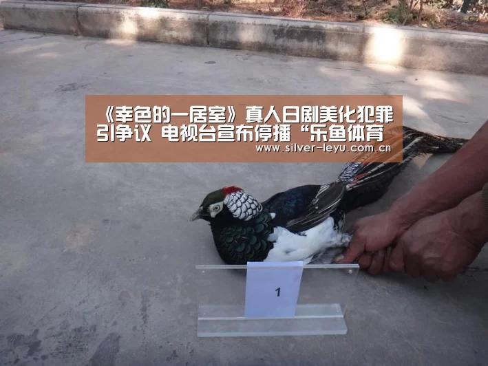 《幸色的一居室》真人日剧美化犯罪引争议 电视台宣布停播“乐鱼体育入口”(图2) 乐鱼