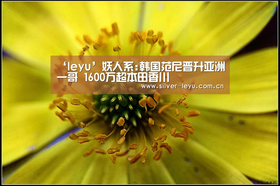‘leyu’妖人系:韩国范尼晋升亚洲一哥 1600万超本田香川(图2) 乐鱼体育在线