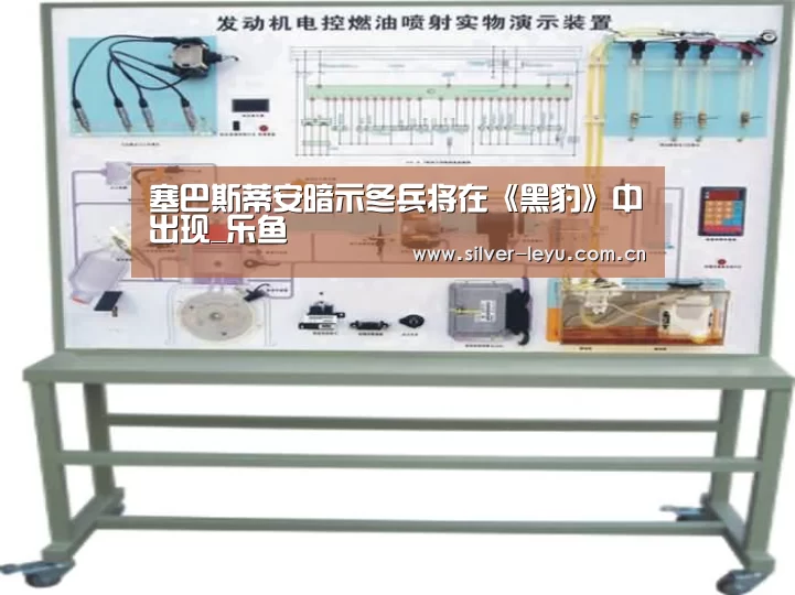 塞巴斯蒂安暗示冬兵将在《黑豹》中出现_乐鱼(图1) 乐鱼体育入口