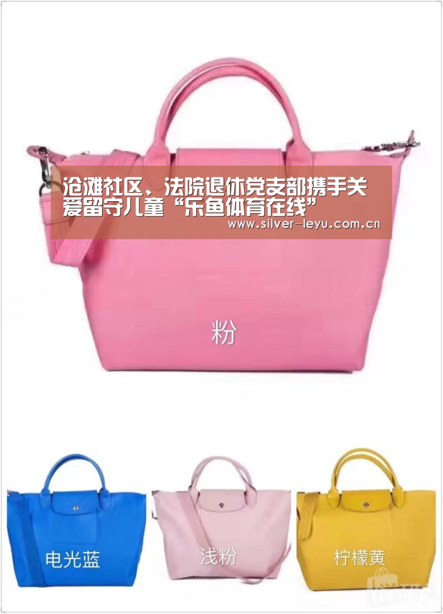 沧滩社区、法院退休党支部携手关爱留守儿童“乐鱼体育在线”(图1) 乐鱼体育在线
