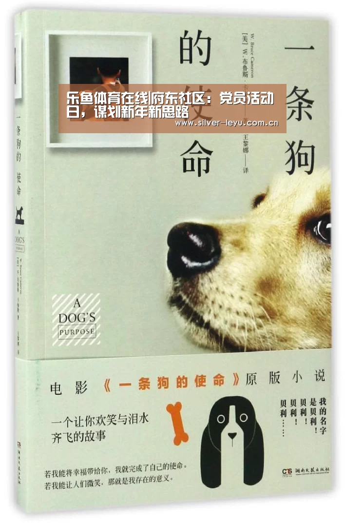 乐鱼体育在线|府东社区:党员活动日,谋划新年新思路(图2) 乐鱼体育在线