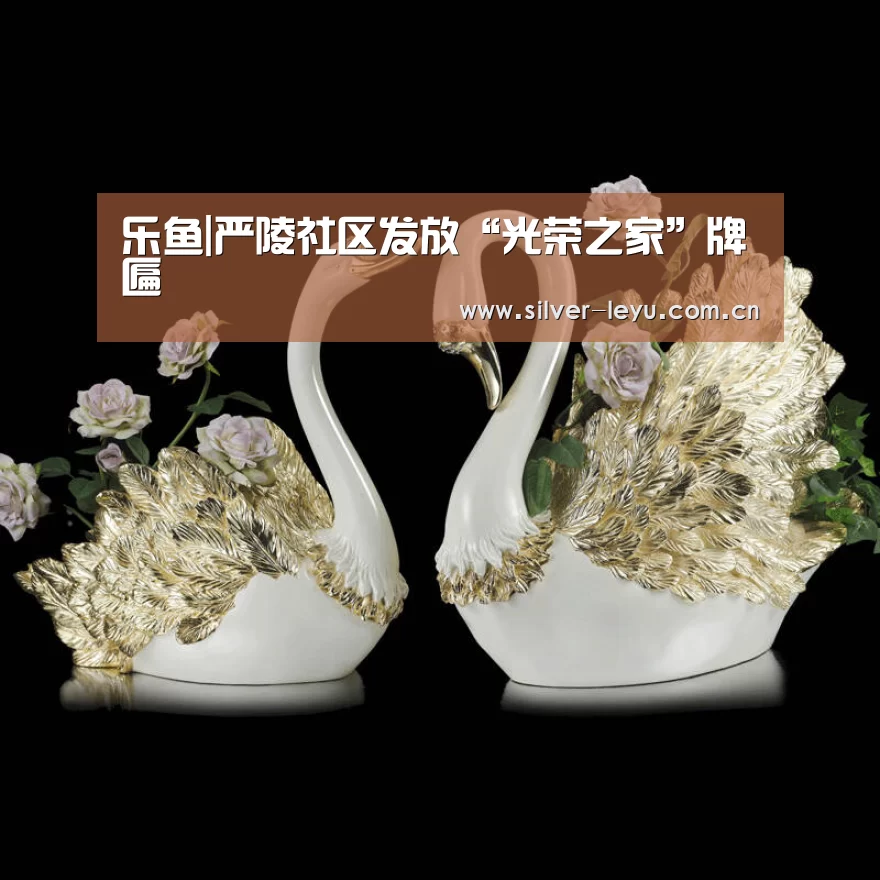乐鱼|严陵社区发放“光荣之家”牌匾(图1) 乐鱼体育在线