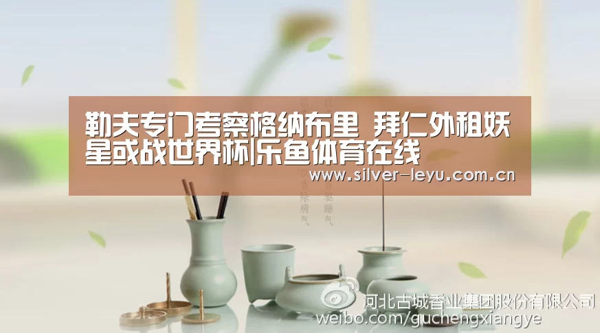 勒夫专门考察格纳布里 拜仁外租妖星或战世界杯|乐鱼体育在线(图4) 乐鱼