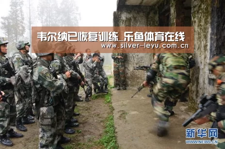韦尔纳已恢复训练_乐鱼体育在线(图4) 乐鱼